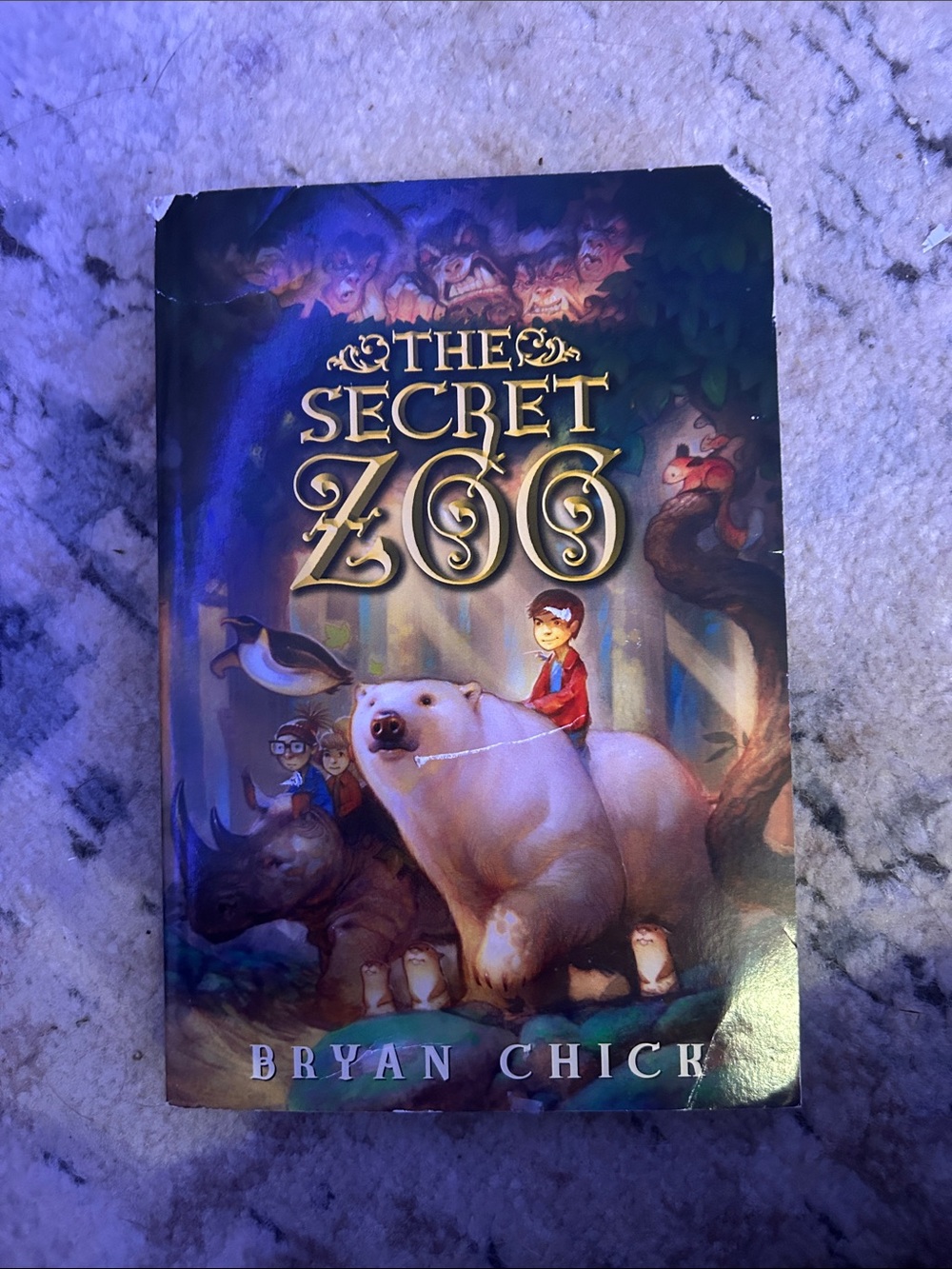 The Secret Zoo - Kids Paperback Book in Purple